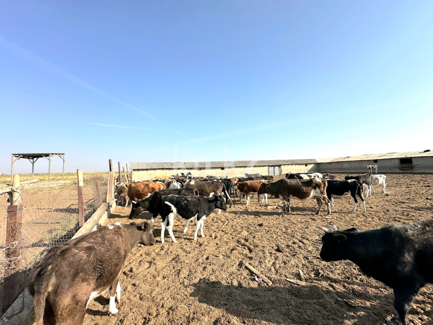 Продажа , 1200 м², ЖМ Алтынтобе, дом  1 - Продажа квартир в Шымкенте фото 1 из 30