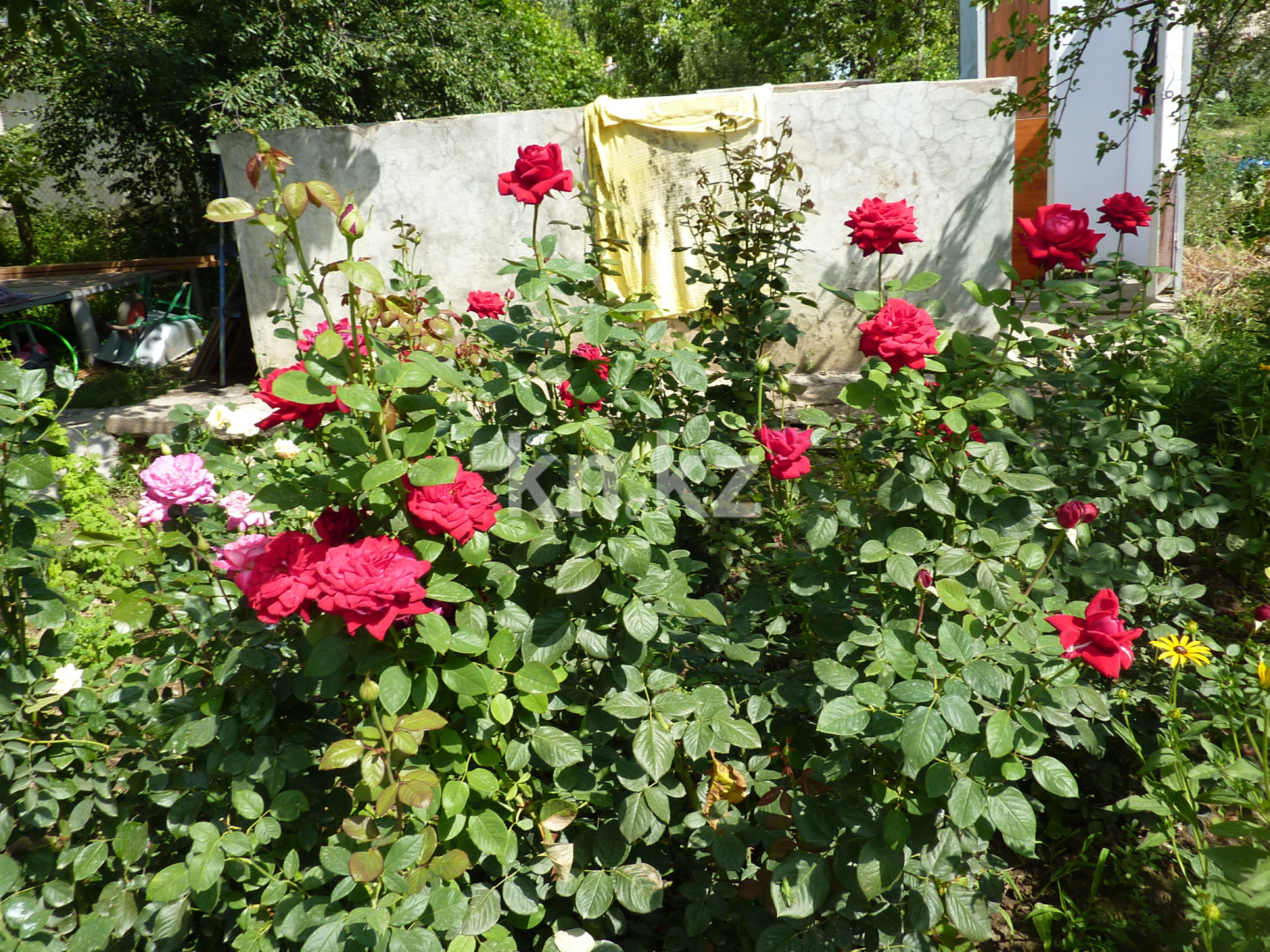 Продажа дачи, 8 сот. - Недвижимость в Шымкенте - страница 2 фото 13 из 13