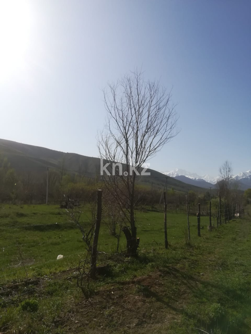 Продажа земельного участка, 50 сот., Азат п. - Продажа земельных участков в Алматинской области фото 5 из 11