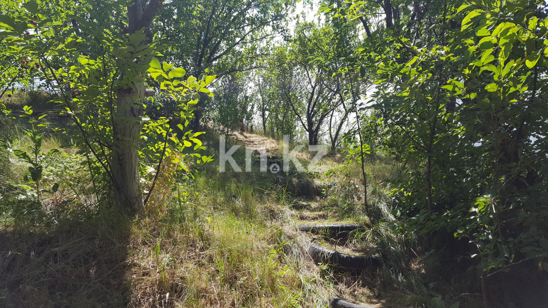 Продажа дачи, 12 сот., Бургулюк - Продажа квартир в Шымкенте фото 10 из 11