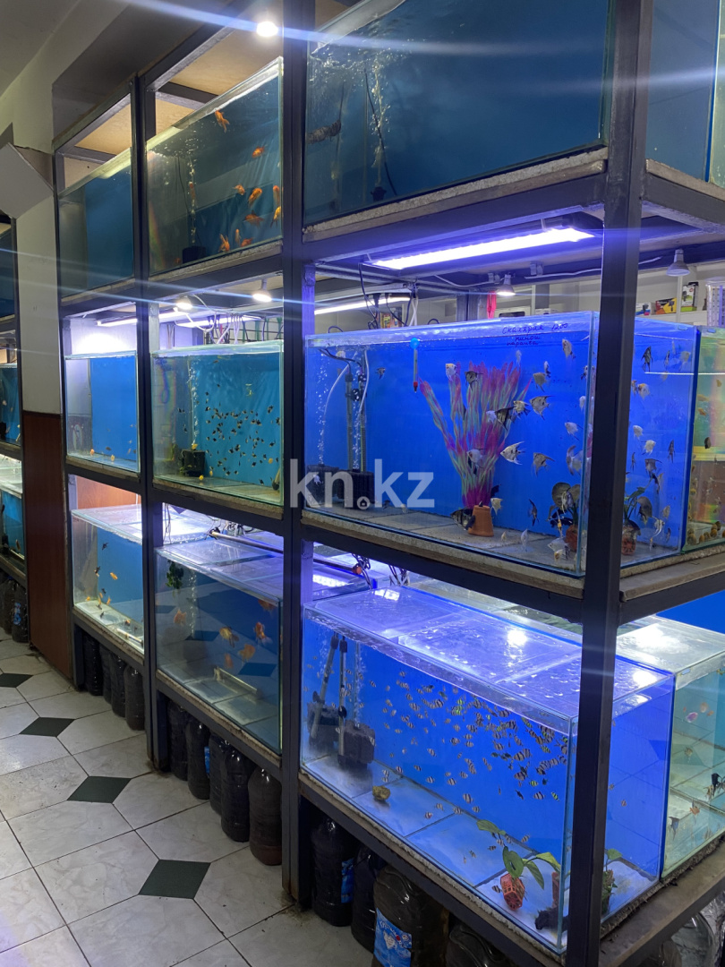 Продажа , 60 м², ул. Казахстанская, дом  22 - Продажа действующего бизнеса в Караганде фото 2 из 4