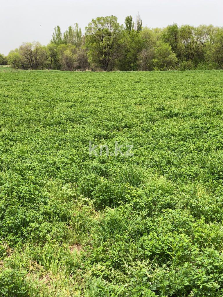 Продажа земельного участка, 635 сот., Байтерек п. - Продажа земельных участков в Алматинской области фото 3 из 10