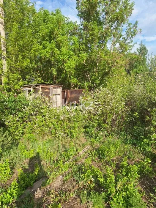 Продажа дачи, 9 сот. - Продажа дач в Караганде фото 16 из 16