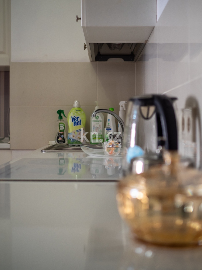 Аренда 1-комнатной квартиры посуточно, 42 м², ул. Навои, дом  208 - ул. Торайгырова - Аренда  однокомнатных квартир посуточно в Алматы фото 18 из 24