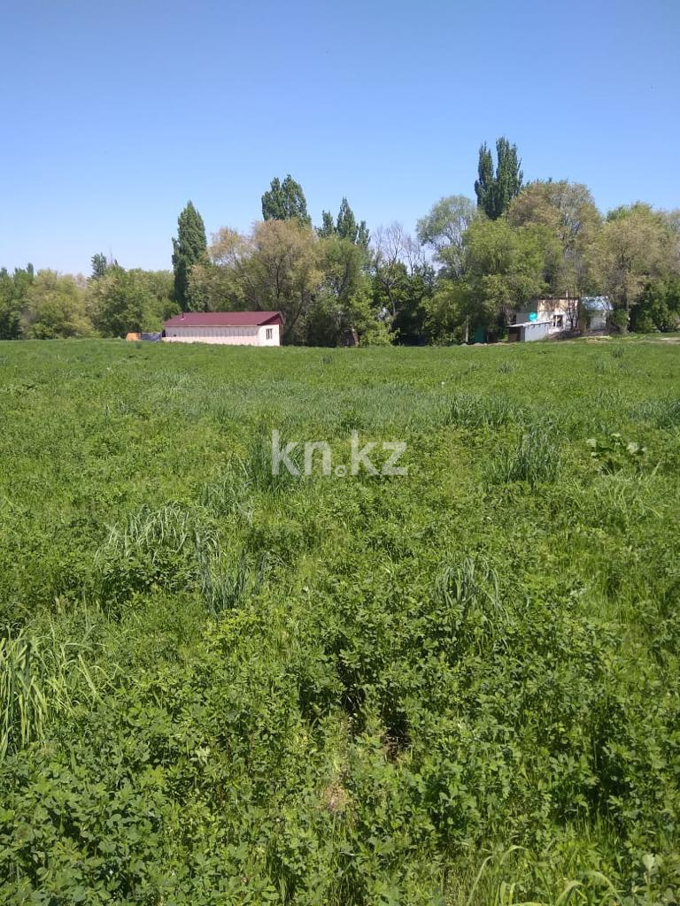 Продажа земельного участка, 635 сот., Байтерек п. - Продажа земельных участков в Алматинской области фото 4 из 10