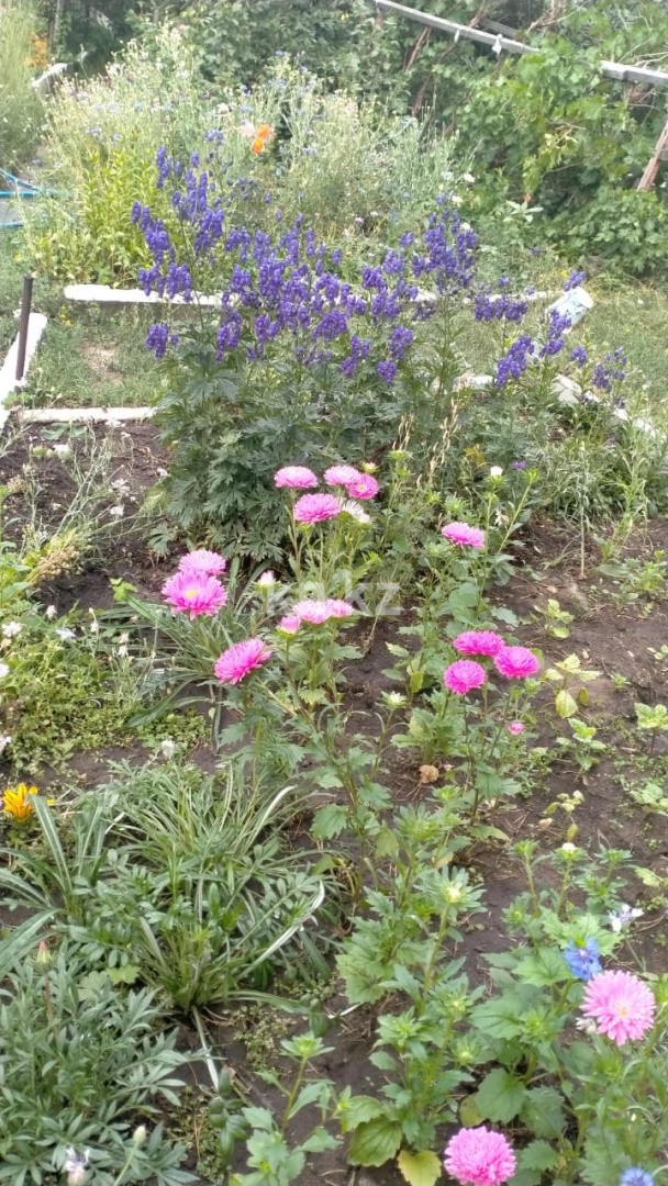 Продажа дачи, 12 сот., Елочка - Продажа дач в Караганде с фото фото 33 из 39