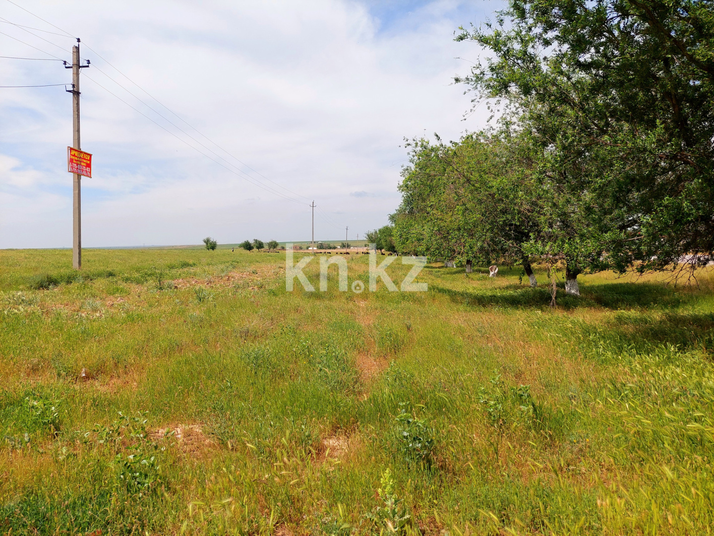 Продажа земельного участка, 3 га, Шубарсу - Продажа квартир в Шымкенте фото 17 из 27