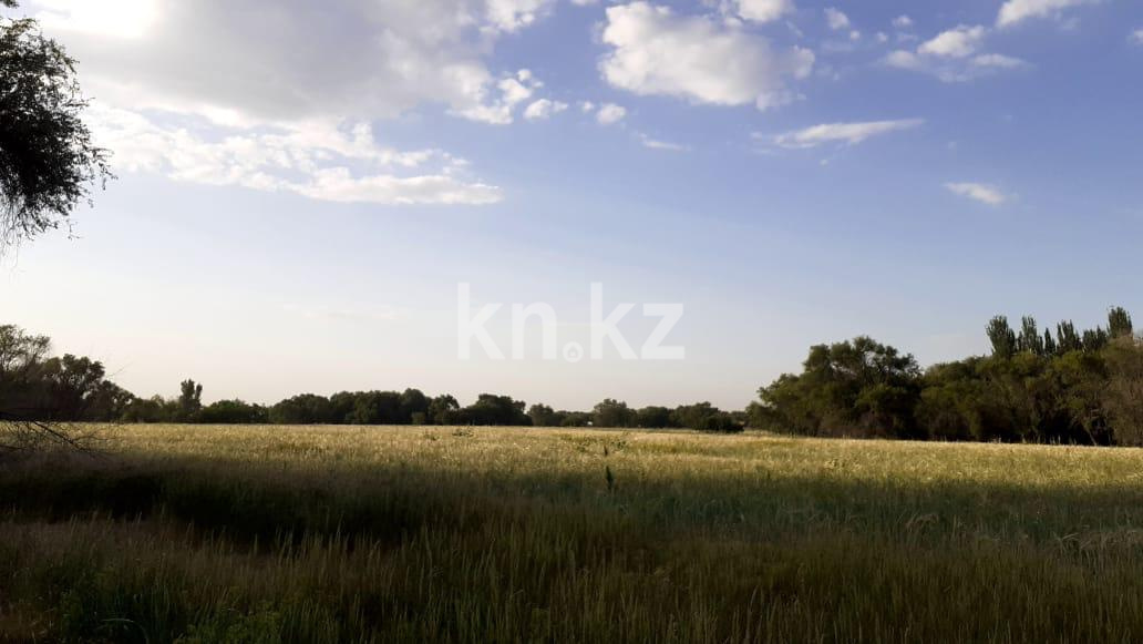 Продажа земельного участка, 635 сот., Байтерек п. - Продажа земельных участков в Алматинской области фото 6 из 10