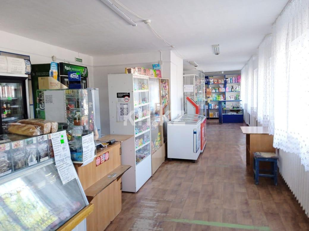 Продажа , 170 м², Школьная - Продажа жилой и коммерческой недвижимости в Карагандинской области фото 3 из 12