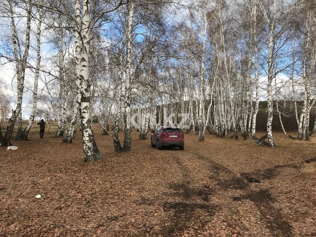 Продажа земельного участка, 10 сот., Швейная - Продажа земельных участков в Щучинске фото 1 из 4
