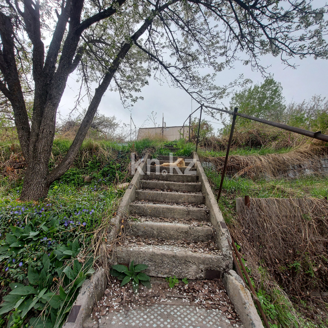 Продажа дачи, 10 сот., СТ Пищевик - Продажа дач в Алматы с фото фото 27 из 31