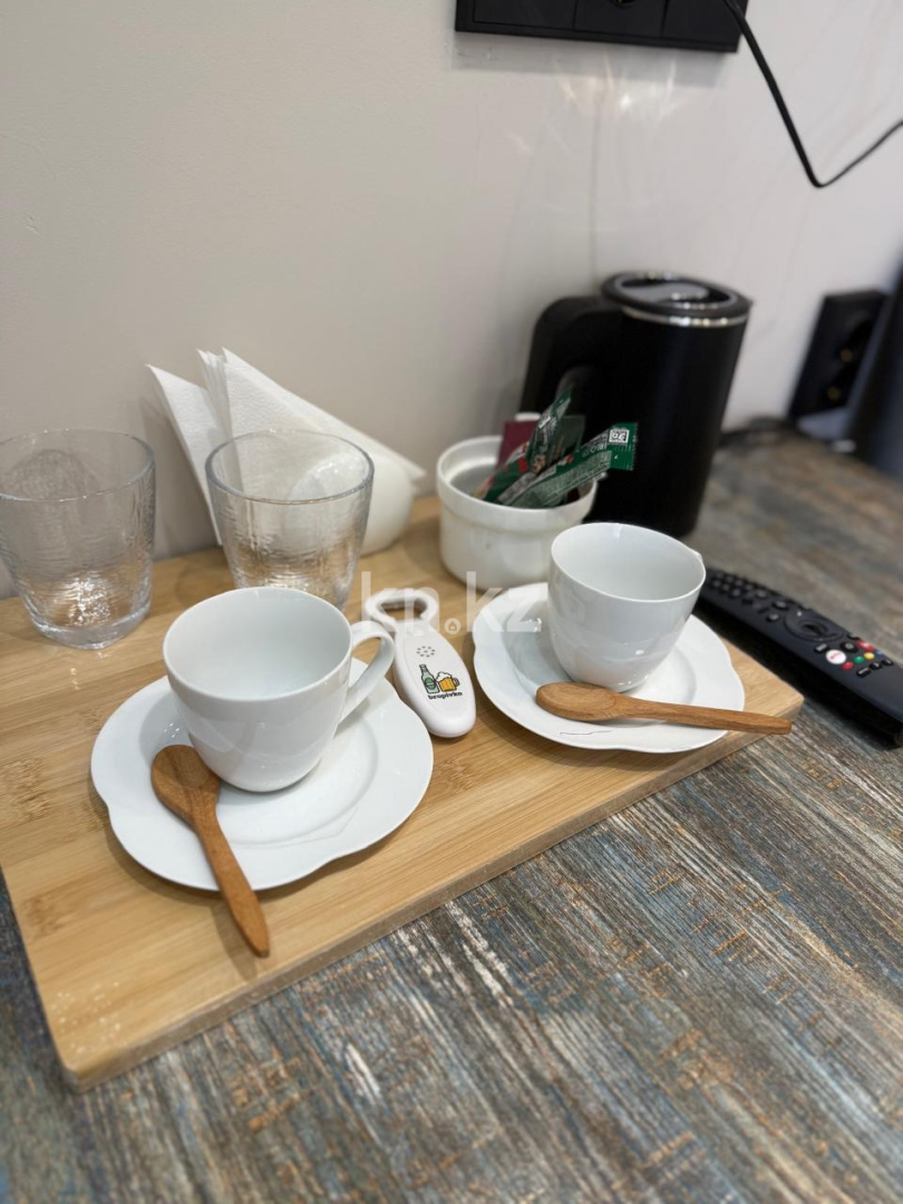 Аренда 1-комнатной квартиры посуточно, 25 м² - Аренда квартир посуточно в Казахстане - страница 2 фото 4 из 12