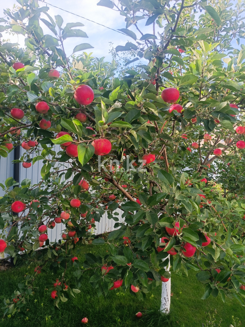 Продажа 5-комнатного дома, 260 м², Назерке, дом  24/1 - Продажа домов, коттеджей в Уральске фото 9 из 10