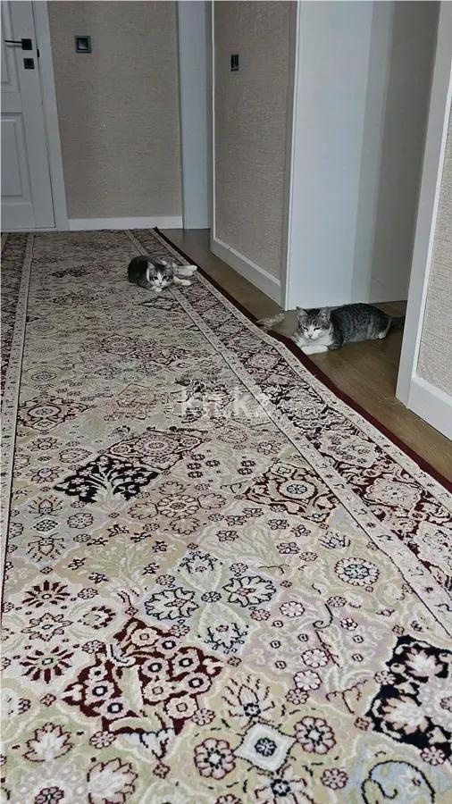 Продажа 4-комнатной квартиры, 108 м², ул. Иманбаевой, дом  8/3 в Астане - фото 2