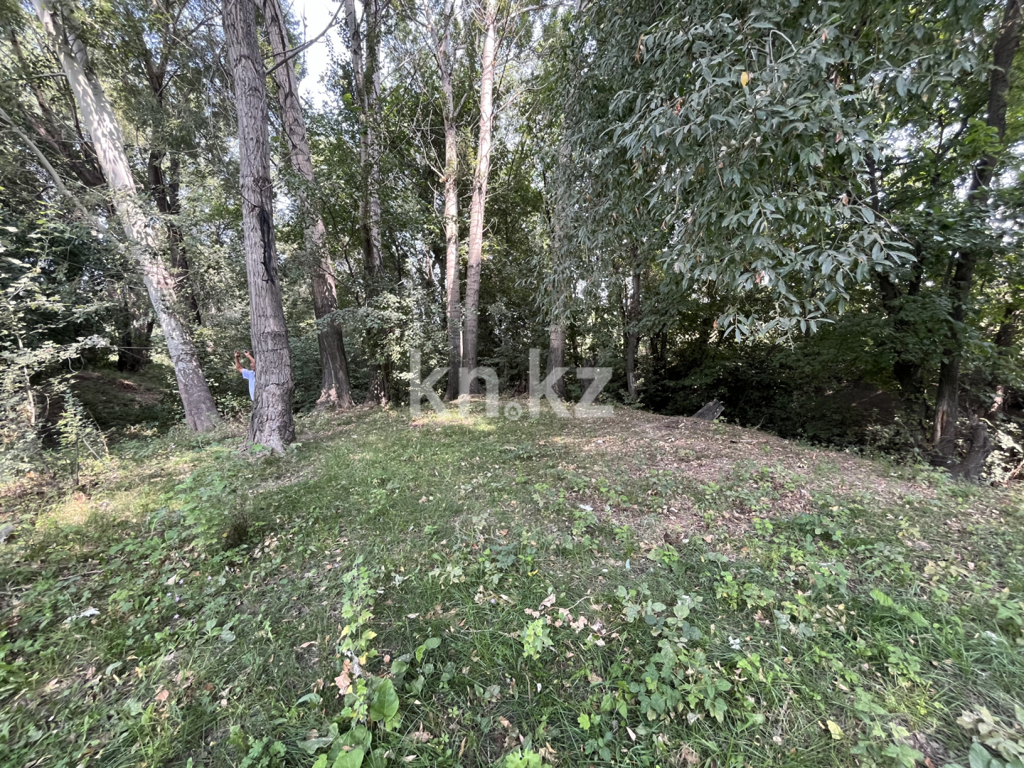 Продажа земельного участка, 22 сот., Маметова - Продажа земельных участков в Алматинской области фото 11 из 11