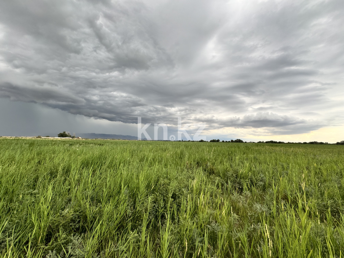 Продажа , 1100000 м², Коктал, дом  1 - Продажа и аренда недвижимости в Алматинской области фото 1 из 5
