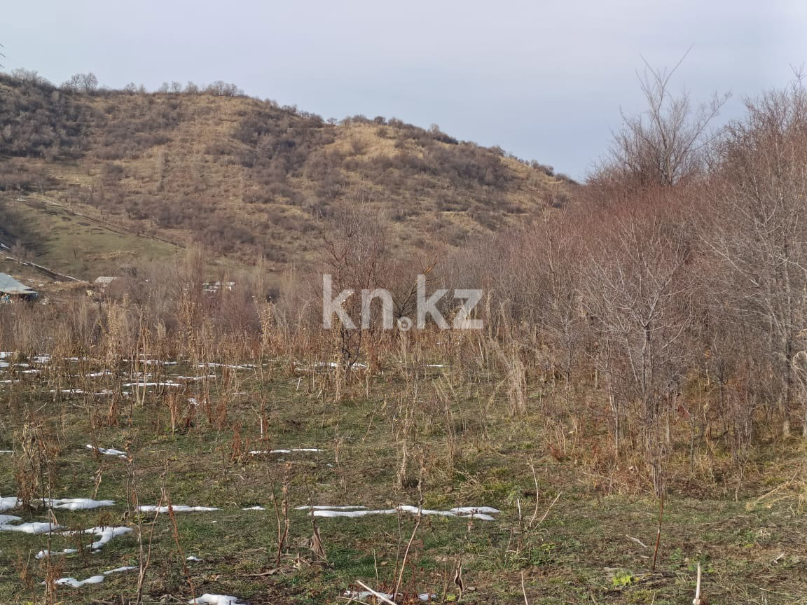 Продажа участка, 6000 м² - Продажа земельных участков в Алматы с фото фото 8 из 11