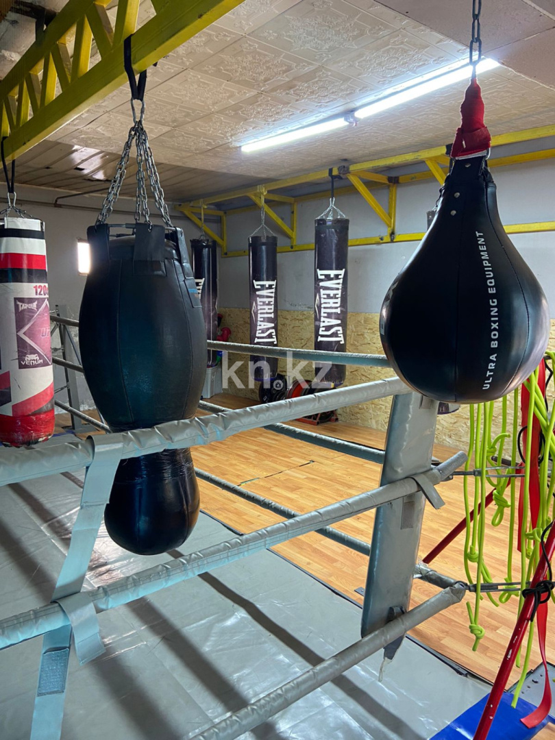 Продажа 6-комнатного дома, 284 м² - Продажа пятикомнатных и более домов, коттеджей в Алматы фото 3 из 14