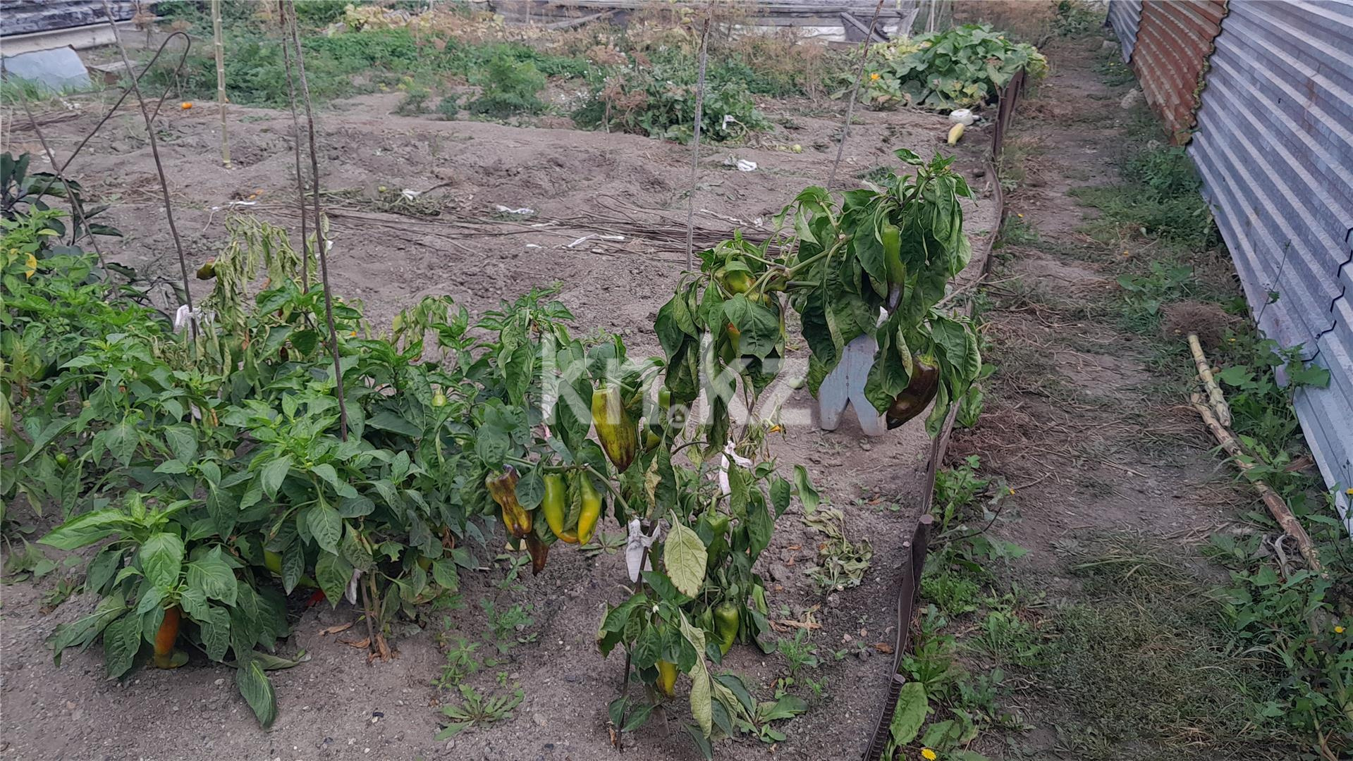 Продажа 4-комнатного дома, 65.2 м², 125А квартал в Темиртау - фото 20