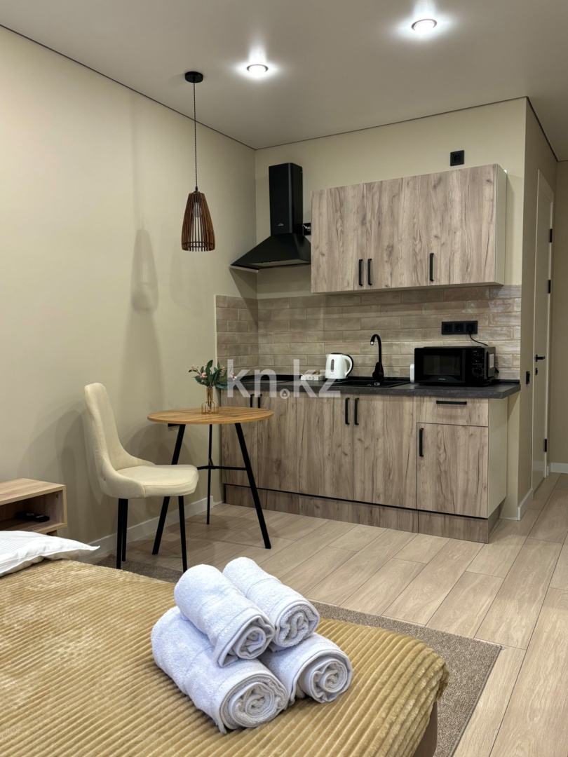 Аренда 1-комнатной квартиры посуточно, 27 м² - Аренда квартир посуточно в Казахстане фото 4 из 20