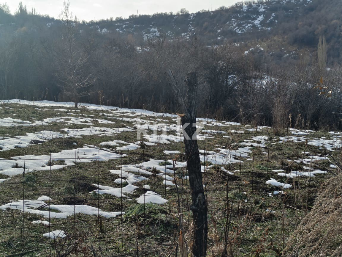 Продажа участка, 6000 м² - Продажа земельных участков в Алматы с фото фото 11 из 11