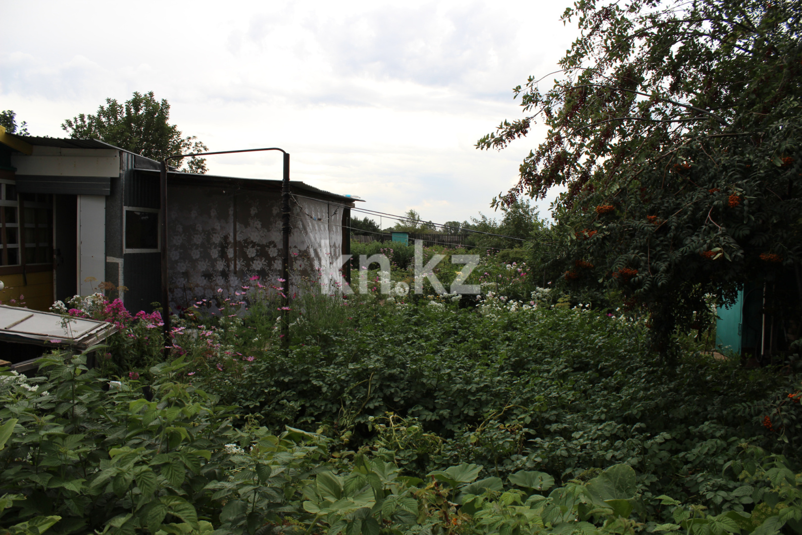 Продажа дачи, 8 сот., ул. Прогресса - Продажа дач в Караганде с фото фото 6 из 18