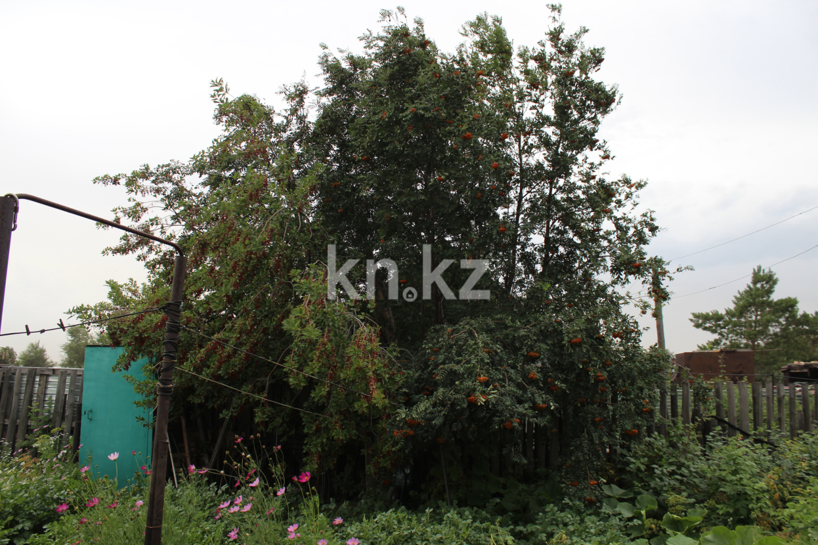 Продажа дачи, 8 сот., ул. Прогресса - Продажа дач в Караганде с фото фото 11 из 18