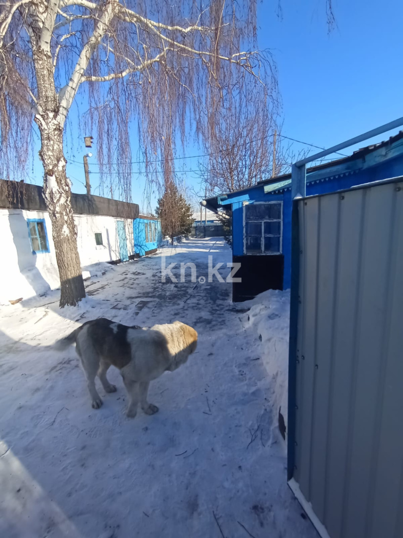 Продажа 5-комнатного дома, 145 м² - Продажа домов и коттеджей в Караганде без посредников фото 17 из 23