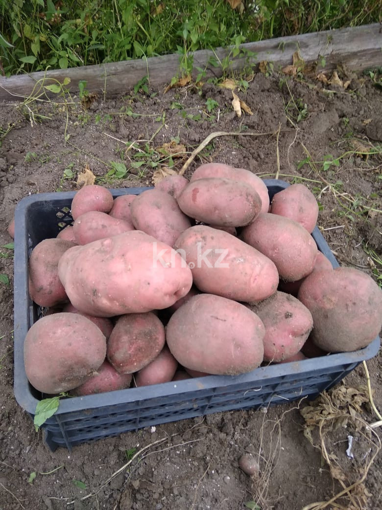 Продажа 3-комнатного дома, 80 м², Сейфуллина, дом  125 - Продажа и аренда недвижимости в Павлодаре фото 8 из 11