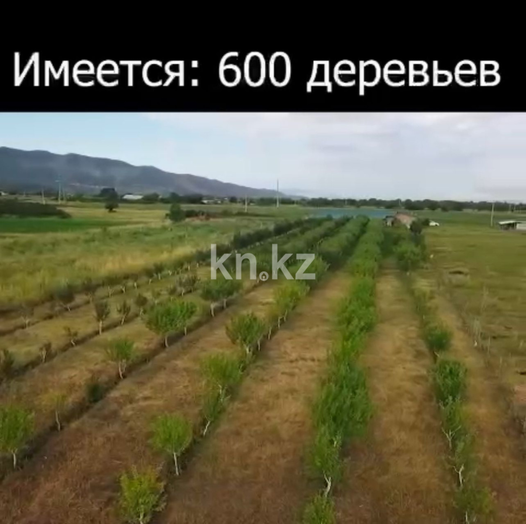 Продажа земельного участка, 1 га, Тазабекова - Продажа земельных участков в Алматинской области фото 2 из 10
