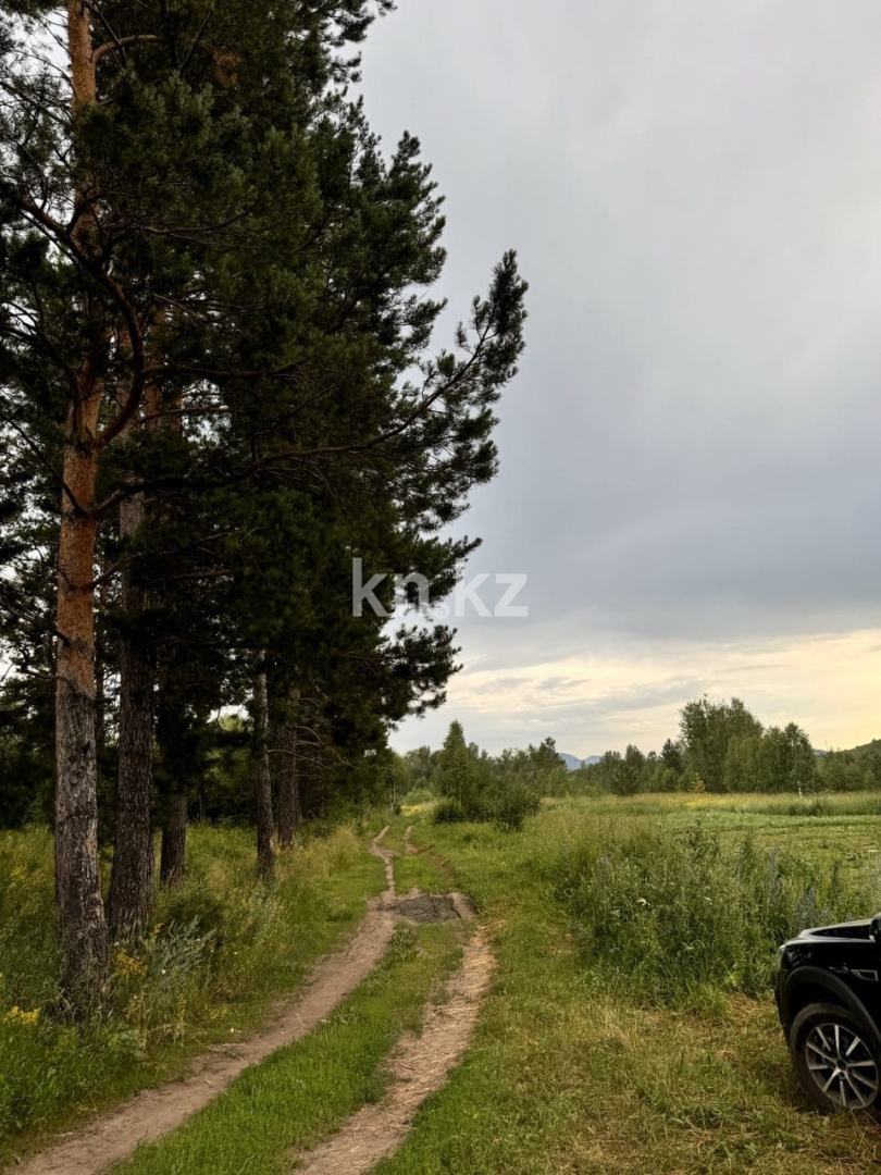 Продажа участка, 24.7 га - Недвижимость в Усть-Каменогорске фото 4 из 8