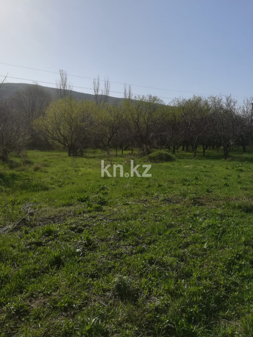 Продажа земельного участка, 50 сот., Азат п. - Продажа земельных участков в Алматинской области фото 2 из 11