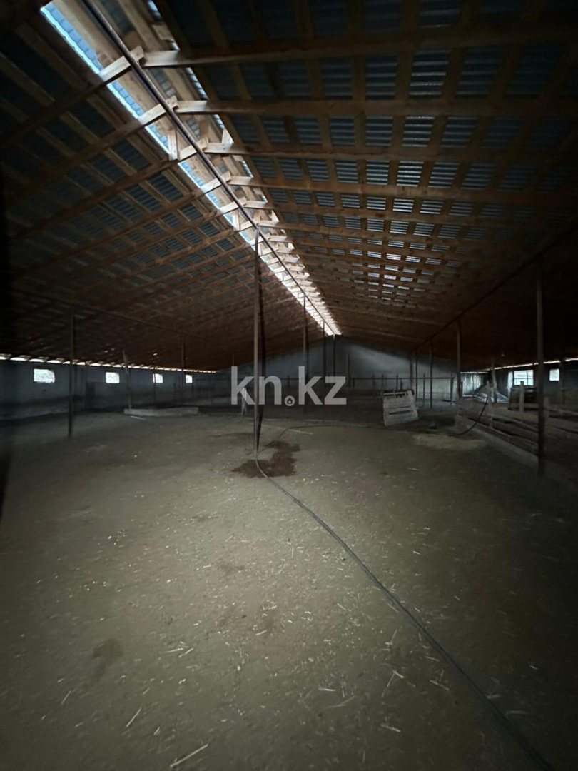 Продажа , 1200 м², мкр. Казыгурт, дом  032 в Шымкенте - фото 9