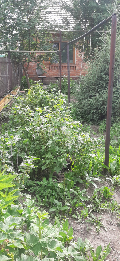 Продажа дачи, 12 сот., С.о. Союз - Продажа и аренда недвижимости в Усть-Каменогорске фото 11 из 12