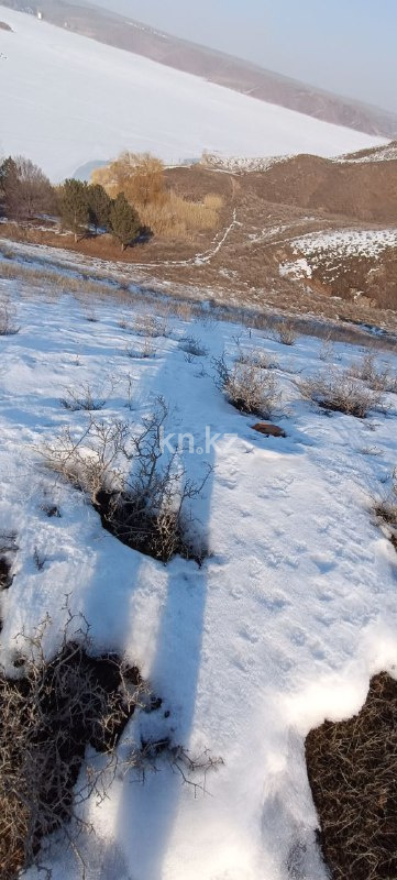 Продажа участка, 8 га - Продажа земельных участков в Алматинской области фото 17 из 30