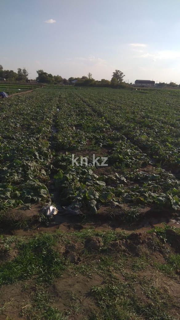 Продажа земельного участка, 23 сот., Жамбыла Жабаева - Продажа квартир в Акмолинской области фото 2 из 3