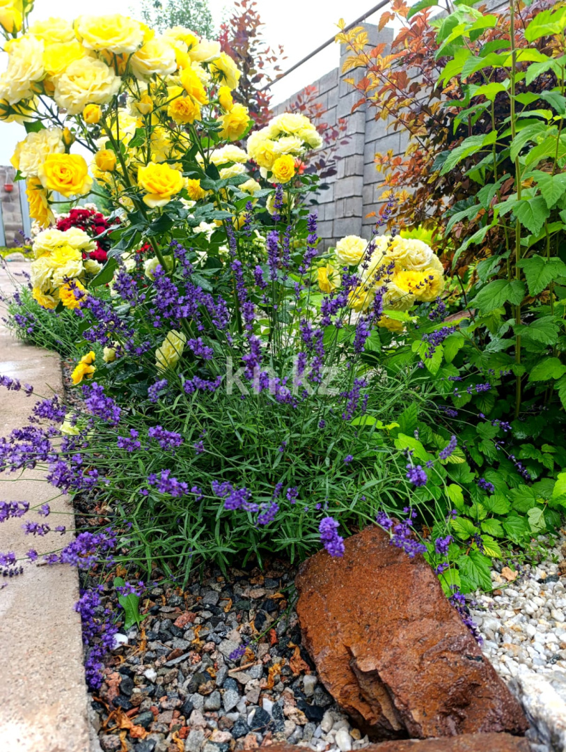 Продажа 4-комнатного дома, 128 м², Талапкер - Продажа домов, коттеджей в Алматинской области фото 11 из 40