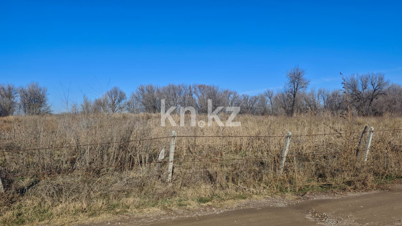 Продажа земельного участка, 5.4 га, Алматинская - Продажа и аренда недвижимости в Алматинской области фото 2 из 5