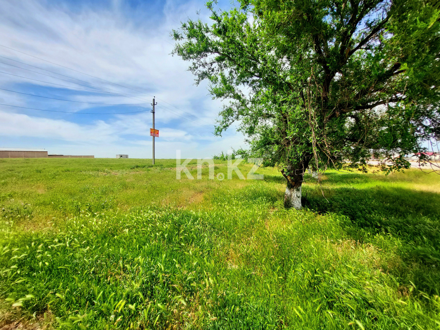 Продажа земельного участка, 3 га, Шубарсу - Продажа квартир в Шымкенте фото 18 из 27