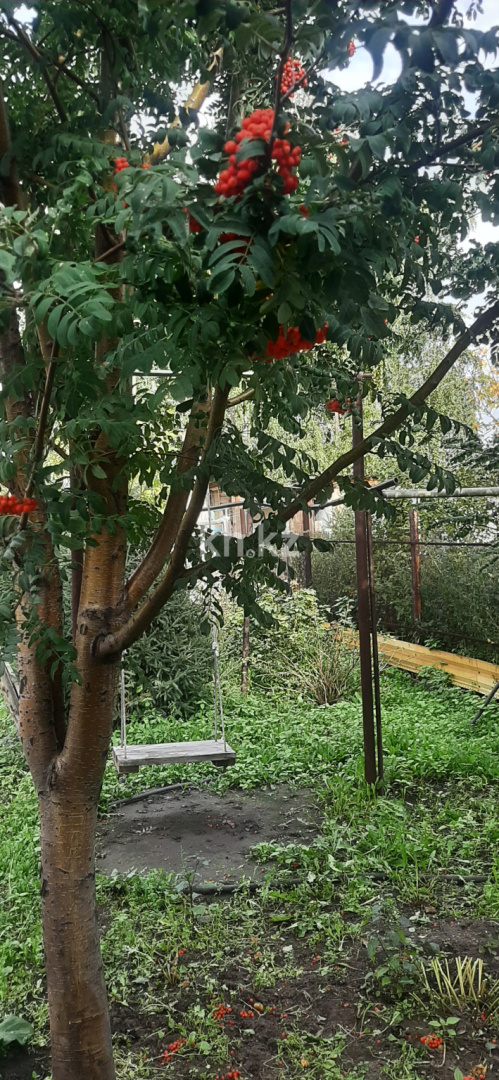 Продажа дачи, 12 сот., С.о. Союз - Продажа и аренда недвижимости в Усть-Каменогорске фото 3 из 12