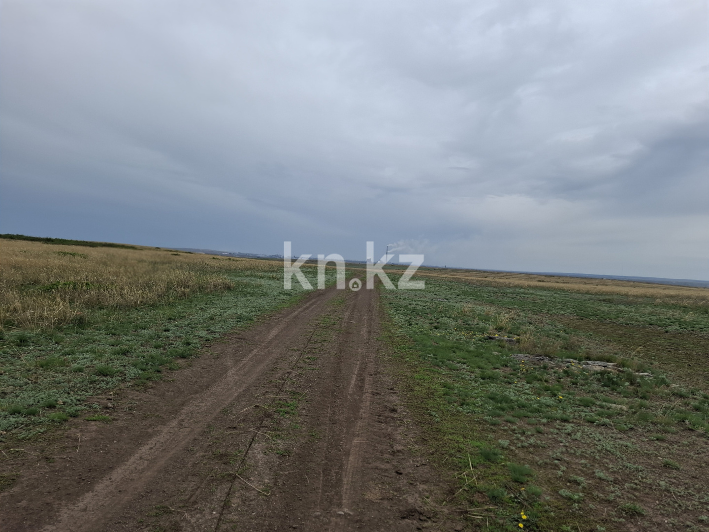 Продажа земельного участка, 18 га, Кокпекты - Продажа земельных участков в Карагандинской области фото 3 из 5