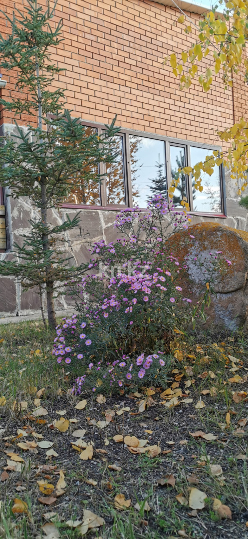 Продажа 5-комнатного дома, 510 м² - Продажа домов, коттеджей в Акмолинской области фото 19 из 33