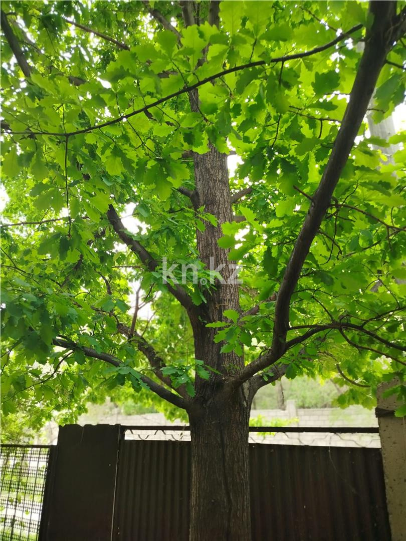 Продажа 5-комнатного дома, 248 м², ул. Электриков - Продажа домов, коттеджей в Темиртау фото 36 из 41