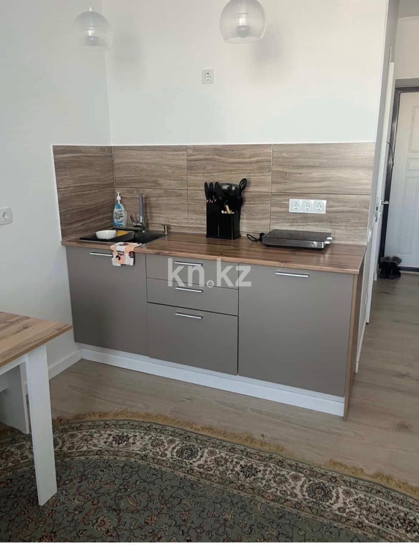 Аренда 1-комнатной квартиры, 24 м² - Аренда квартир помесячно в р-не Нура Астаны фото 1 из 5