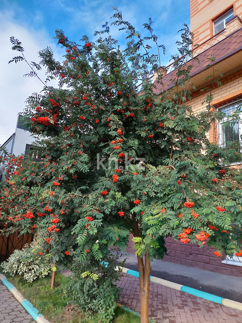 Продажа 1-комнатной квартиры, 72 м², ул. Аманжолова, дом  41 - Продажа  однокомнатных квартир в Караганде фото 3 из 14