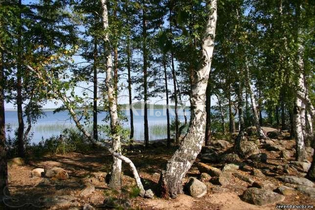 Продажа 5-комнатного дома, 139 м² - Продажа домов, коттеджей в Акмолинской области фото 6 из 8