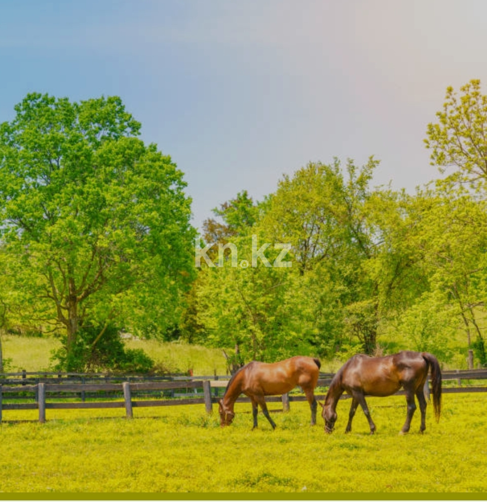 Продажа земельного участка, 9600 га, Пастбища 9600 га Караганды - Продажа земельных участков в Караганде фото 1 из 2
