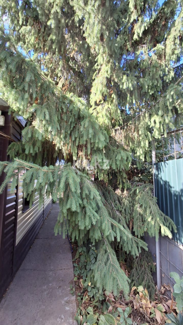 Продажа 3-комнатного дома, 82 м², Геологическая - Продажа домов, коттеджей в Уральске фото 21 из 28