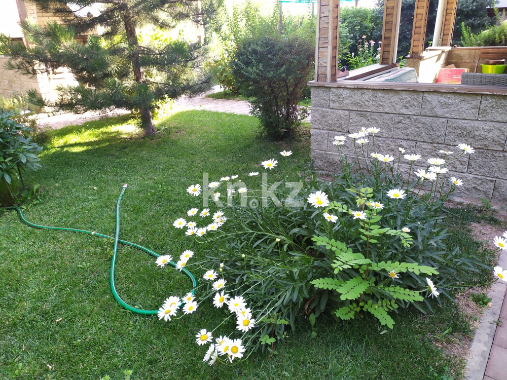 Аренда 5-комнатного дома, 420 м², Акжар - Аренда домов в Алматы фото 18 из 19