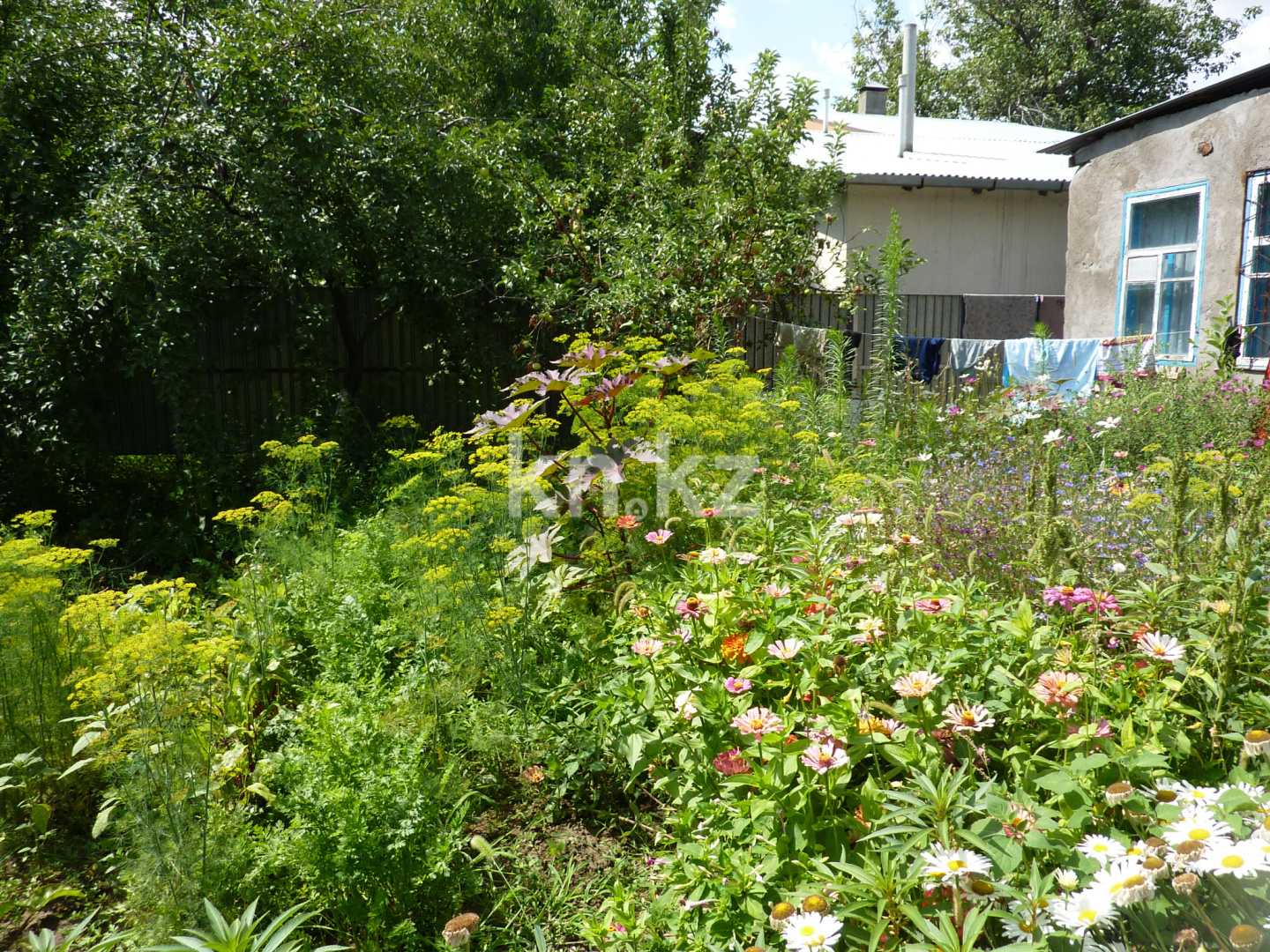 Продажа дачи, 8 сот. - Недвижимость в Шымкенте - страница 2 фото 6 из 13